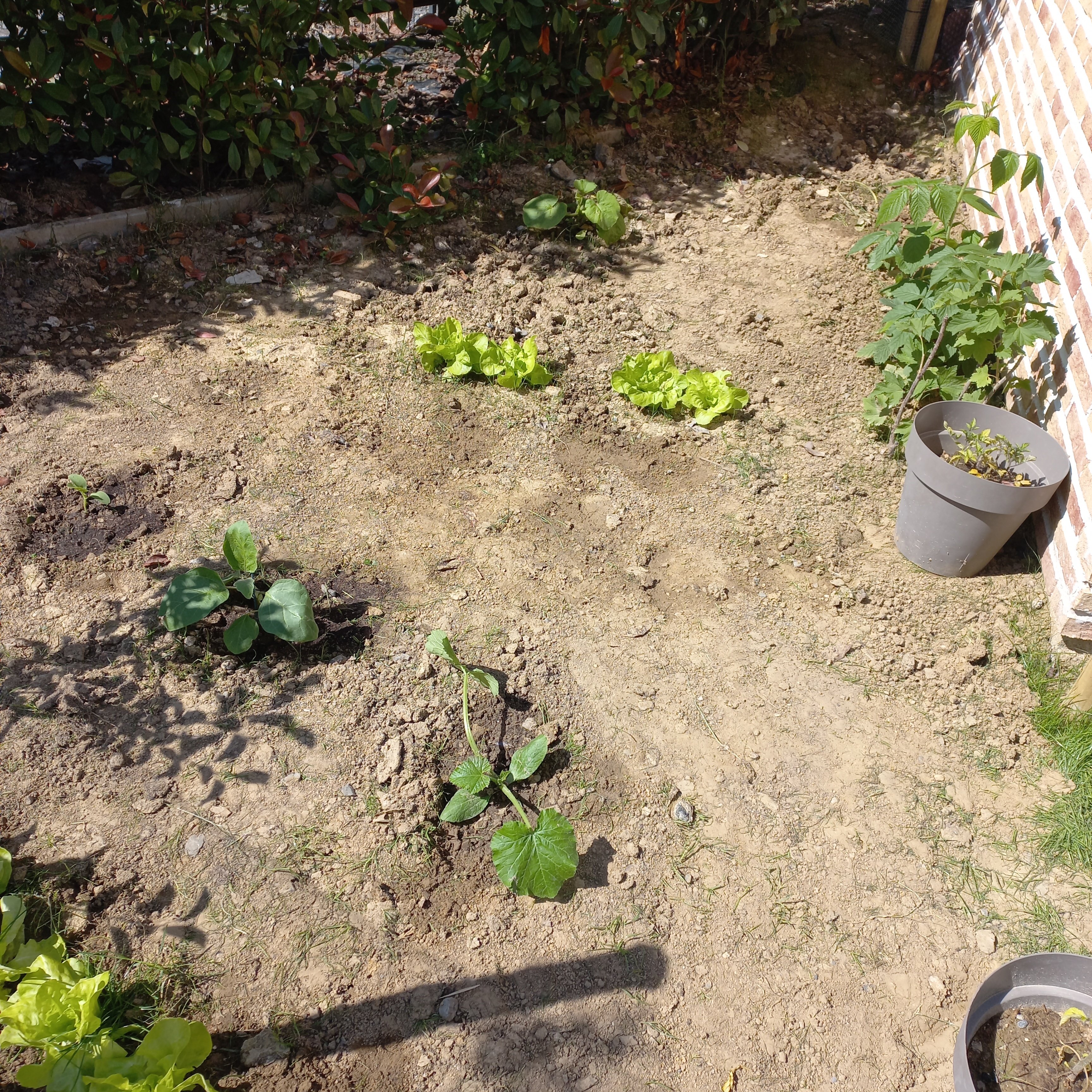 Comment jardinier avec un sol de type lourd par exemple argileux ?