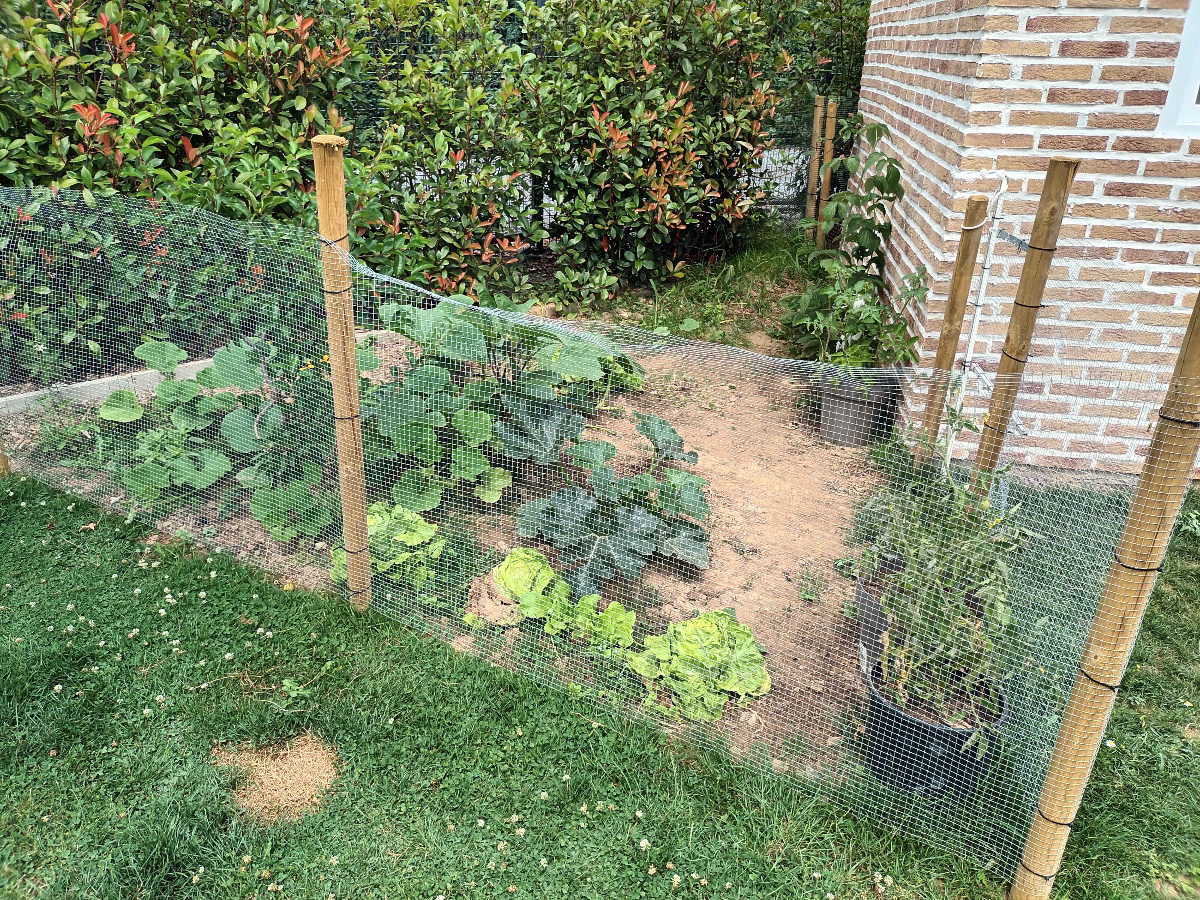 Comment créer mon premier potager soi-même ?