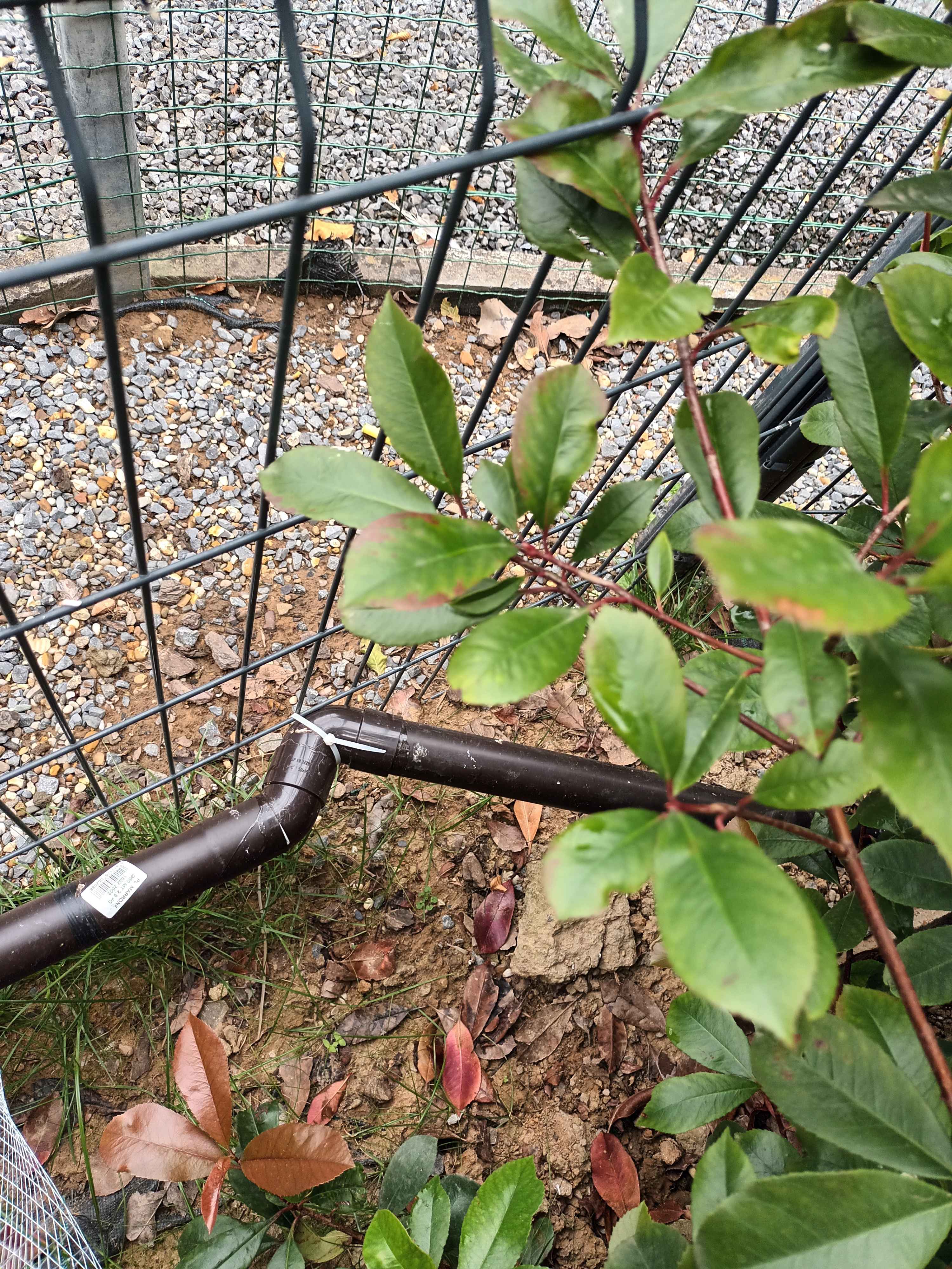 Comment gérer l'évacuation de l'eau de pluie de son abri de jardin au fond de son jardin ?