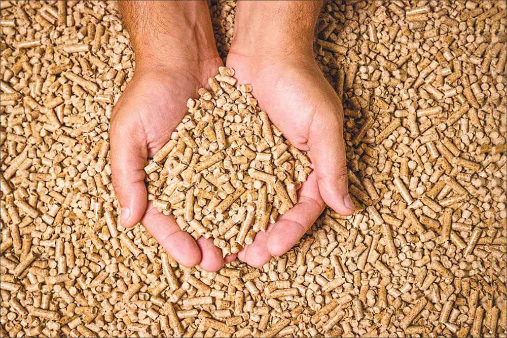 Pellet ou granule en résineux ou feuillus ? Comment choisir