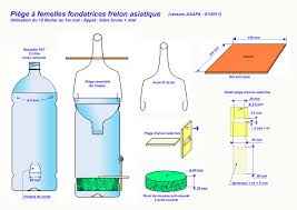 Comment fabriquer un piège à guêpe ou frelon efficace en quelques étapes simples
