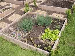  Le guide ultime pour cultiver des légumes délicieux sur un sol argileux : suivez ces étapes faciles 