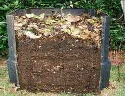 Engrais vs Compost : quelles sont les différences ?