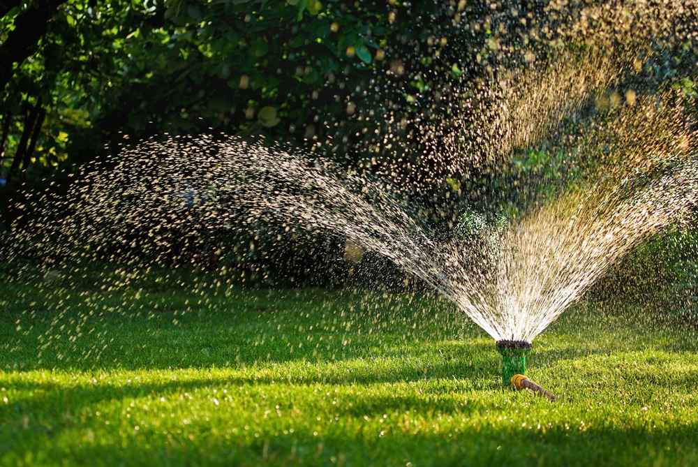 Optimisez l'arrosage de votre jardin grâce à la domotique : Automatisez et simplifiez votre arrosage !